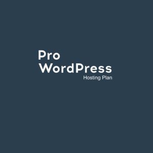 Pro WordPress Hosting Plan